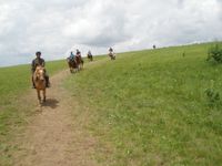 [0006] Riding like Genghis